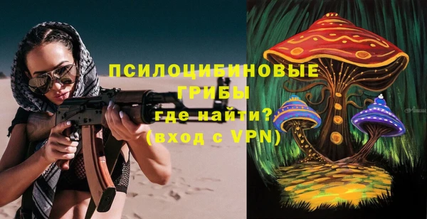 сатива Каменногорск