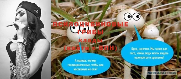 mix Карпинск